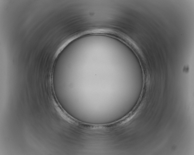 X0000089761417200706210943