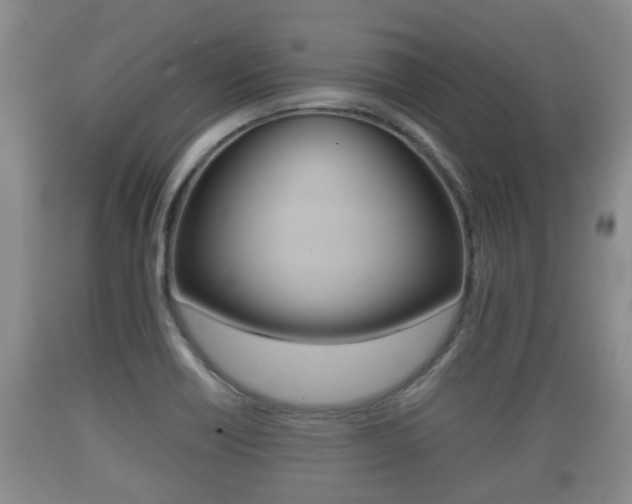 X0000089761418200706210943