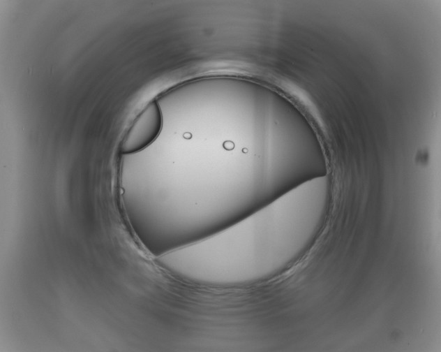 X0000089761419200706210944
