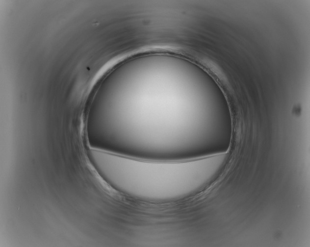 X0000089761420200706210944