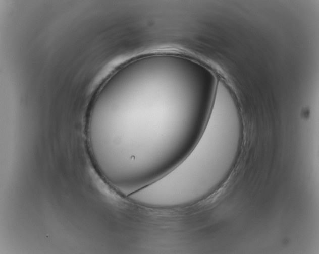 X0000089761422200706210944
