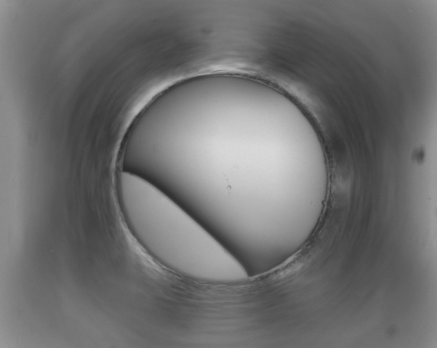 X0000089761423200706210944