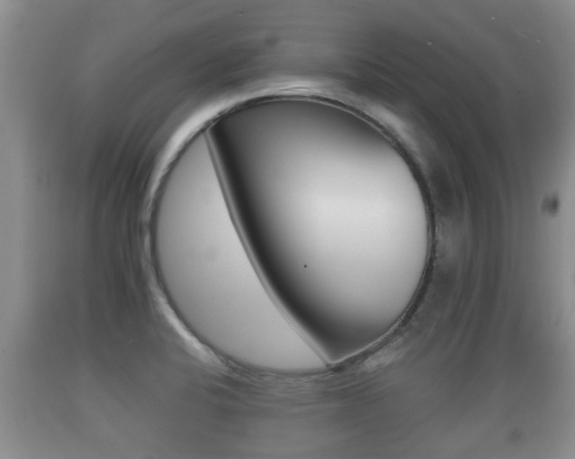 X0000089761424200706210944