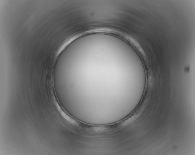 X0000089761425200706210944