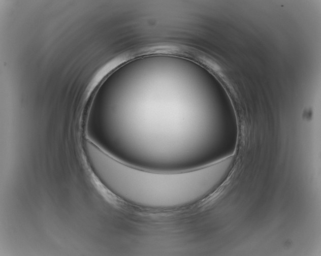 X0000089761426200706210944