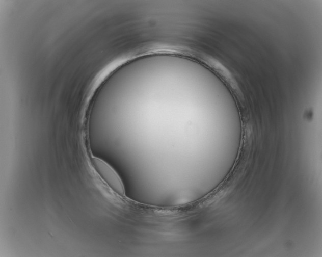 X0000089761427200706210944