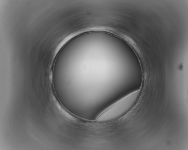 X0000089761428200706210944