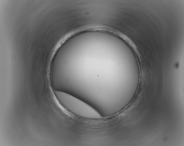 X0000089761429200706210944
