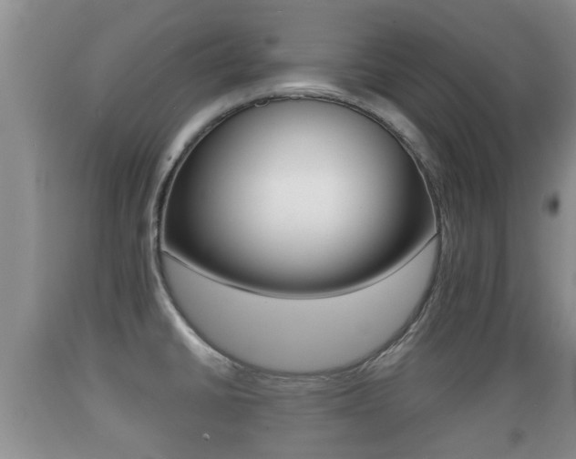 X0000089761430200706210944