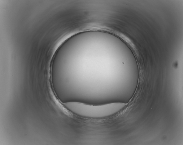 X0000089761431200706210944