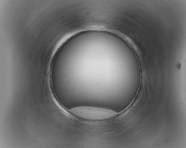 X0000089761432200706210944