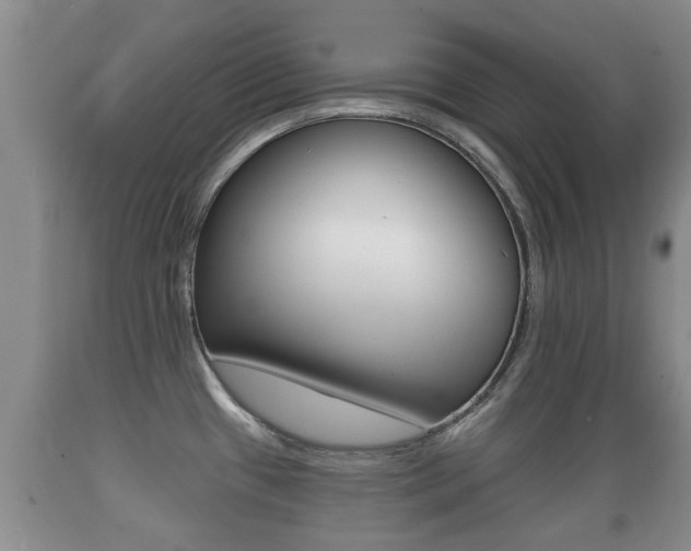 X0000089761433200706210944