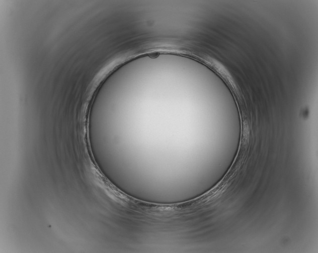 X0000089761435200706210944