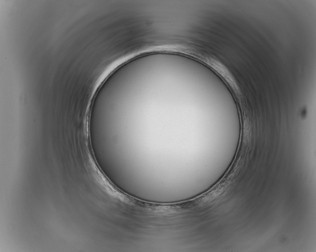 X0000089761436200706210944