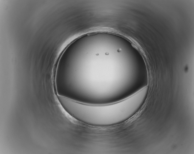 X0000089761438200706210944