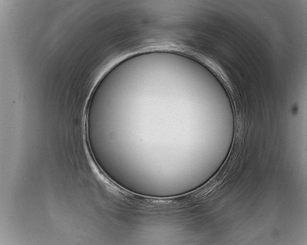 X0000089761439200706210944