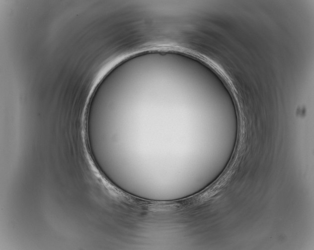 X0000089761440200706210944