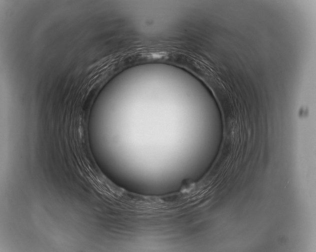 X0000089761442200706210943