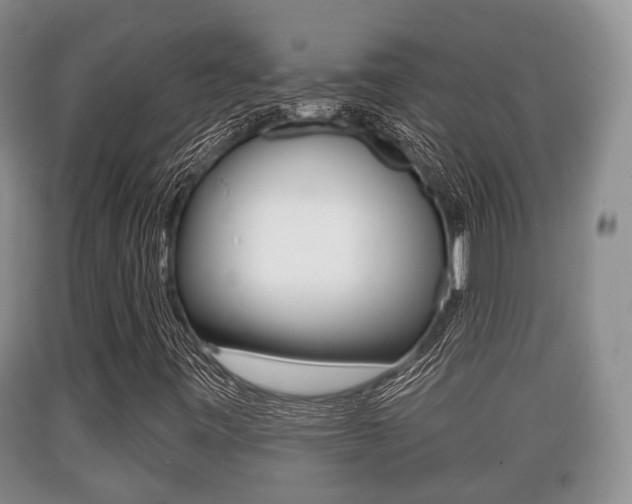 X0000089761443200706210943