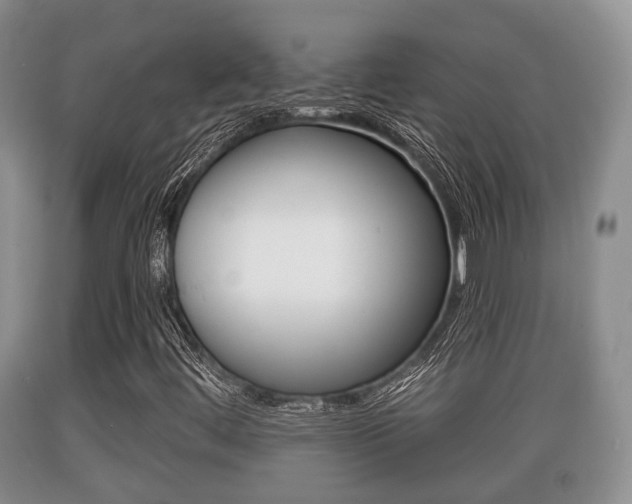 X0000089761444200706210943