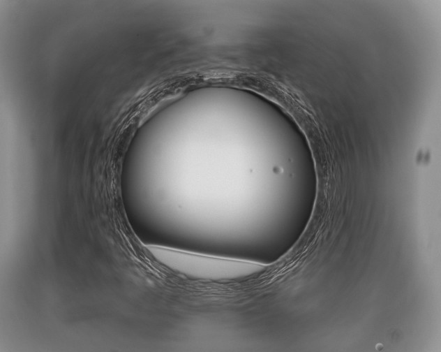 X0000089761445200706210943
