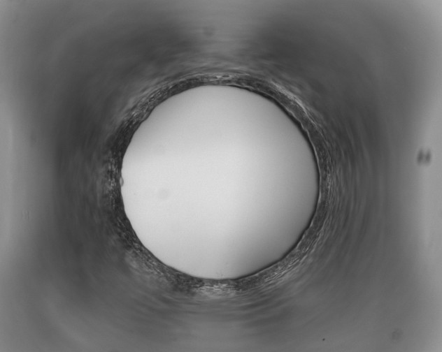 X0000089761447200706210943