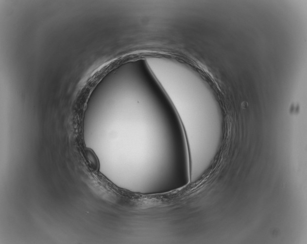 X0000089761448200706210943