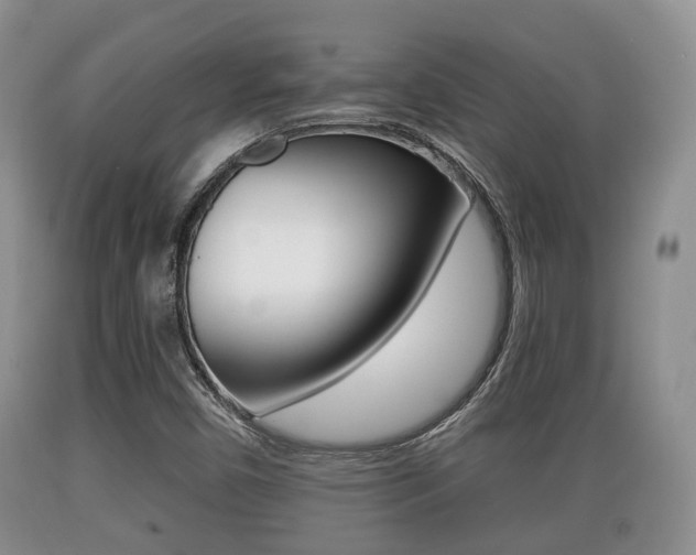 X0000089761450200706210943
