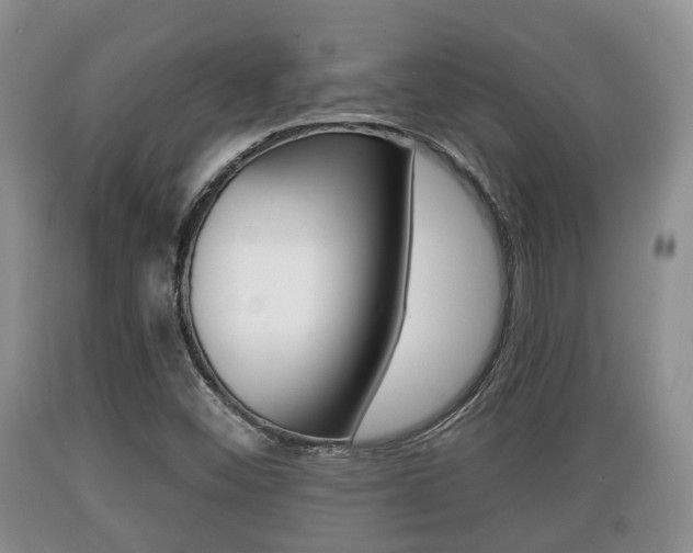 X0000089761452200706210943