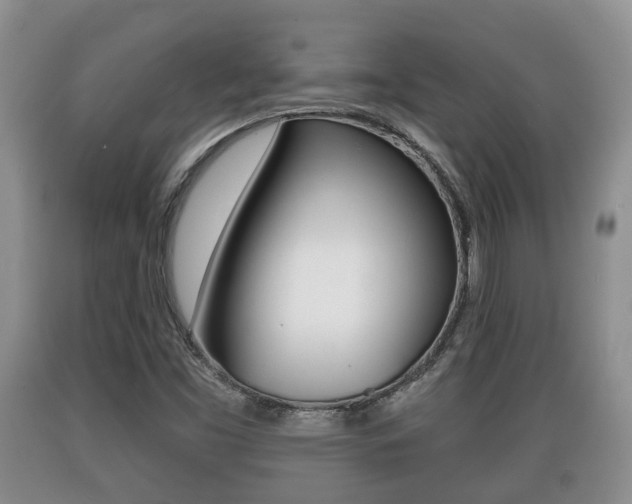 X0000089761453200706210943