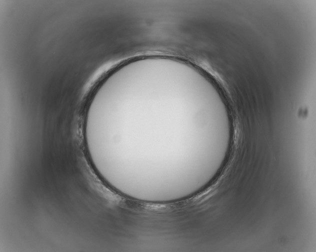 X0000089761454200706210943