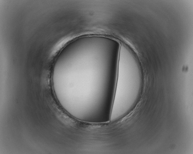 X0000089761455200706210943