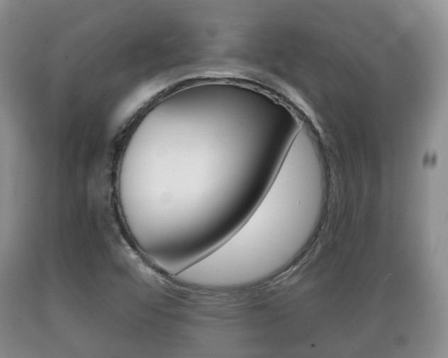 X0000089761456200706210943