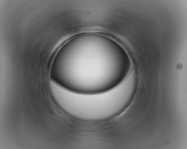 X0000089761457200706210943