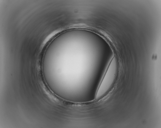 X0000089761458200706210943