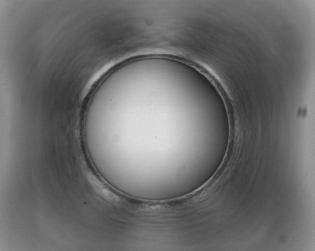 X0000089761460200706210943