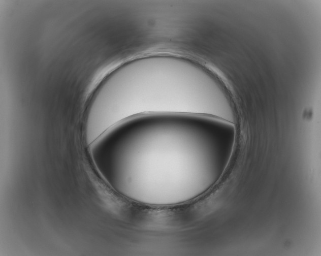 X0000089761461200706210943