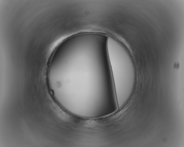 X0000089761463200706210943