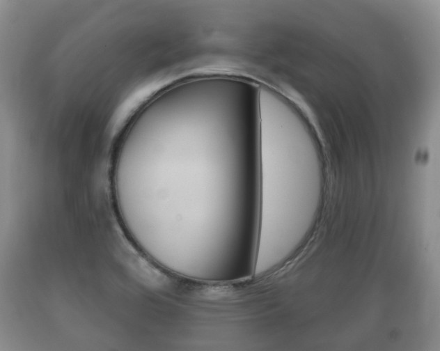 X0000089761464200706210943