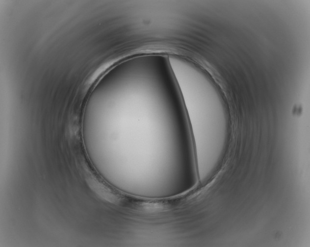 X0000089761465200706210943
