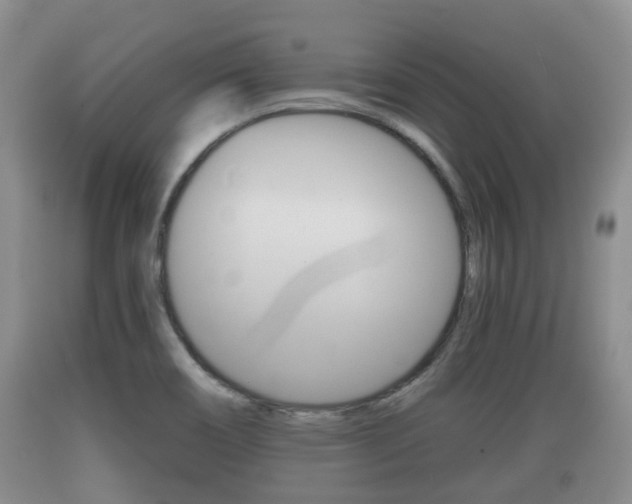 X0000089761466200706210943