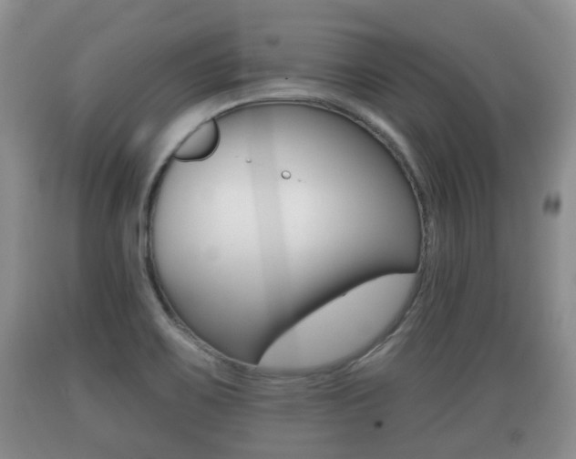 X0000089761467200706210943