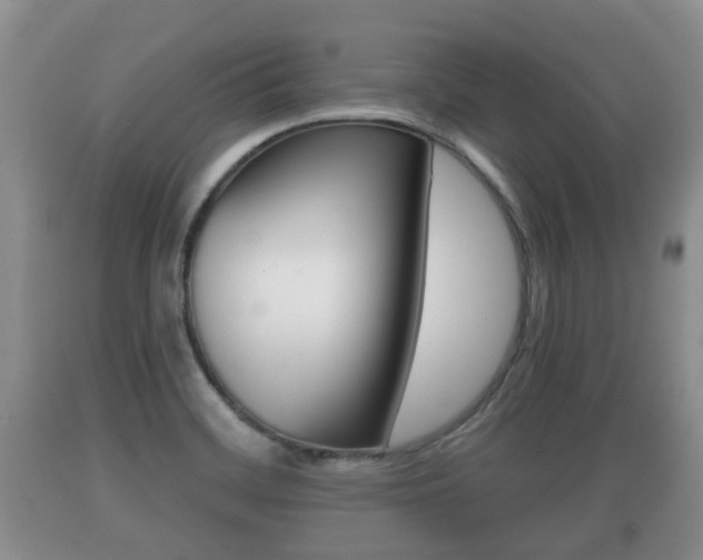 X0000089761468200706210943