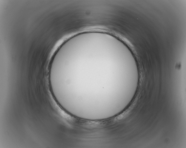 X0000089761470200706210943