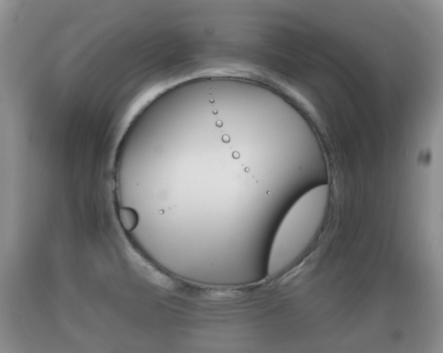 X0000089761471200706210943