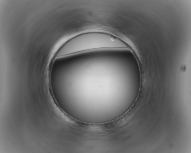 X0000089761472200706210943
