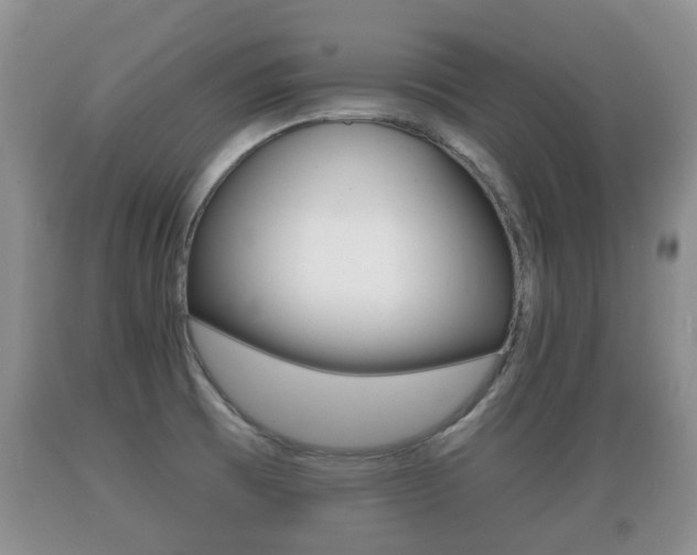 X0000089761473200706210943