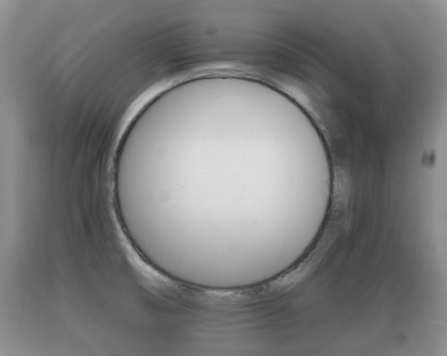 X0000089761474200706210943