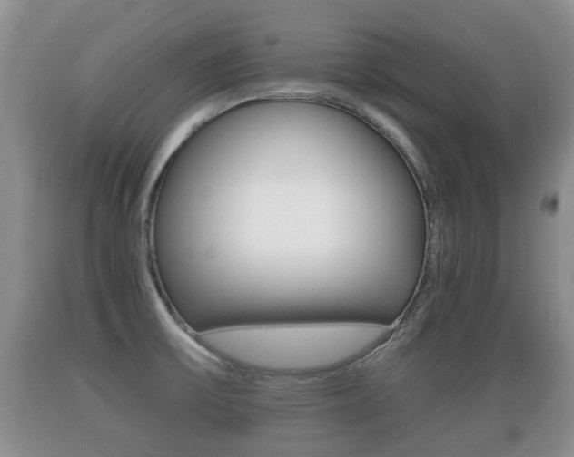X0000089761475200706210943