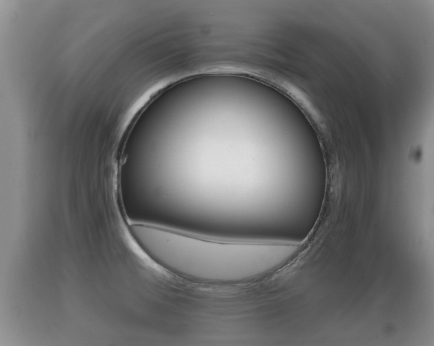 X0000089761476200706210942